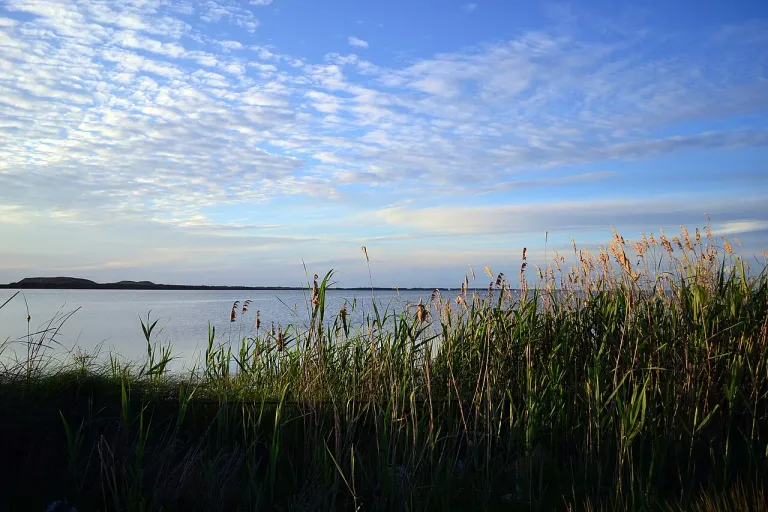 Laguna e Nartës dhe Kriporet